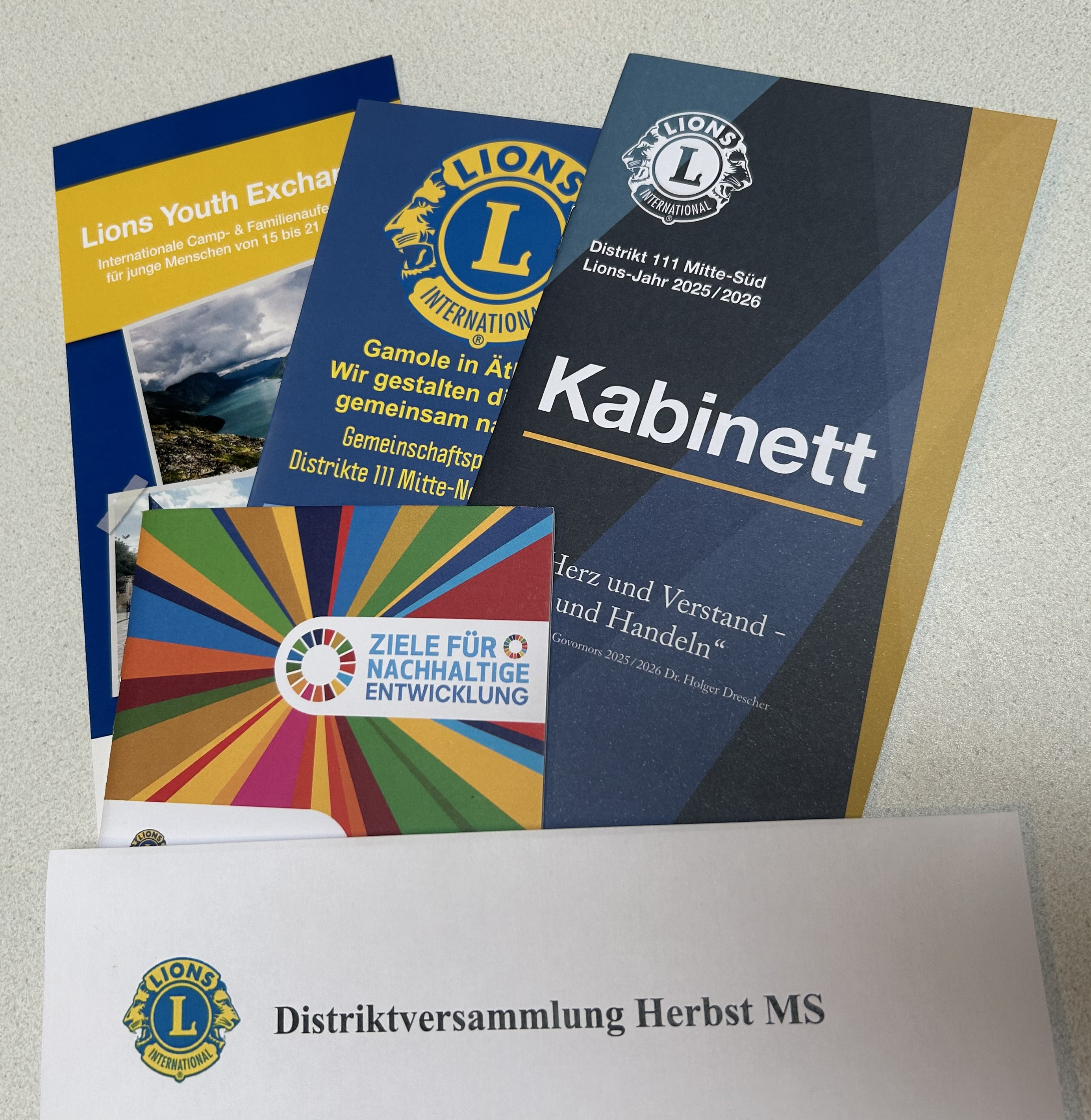 Lions Distriktversammlung